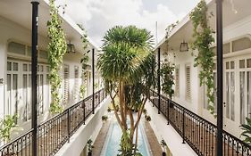 Brown Feather Batu Belig